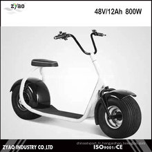 2016 Nouveau modèle Type de frein à disque Motocyclette électrique pour adultes Citycoco Scooter électrique